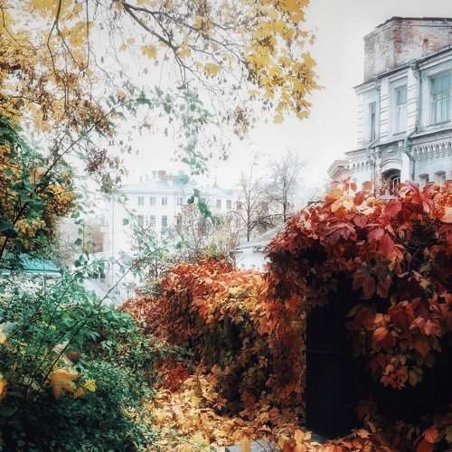 Photo #1697851