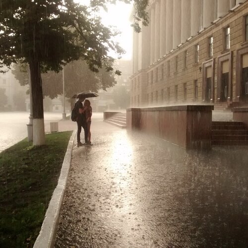Photo #1698058