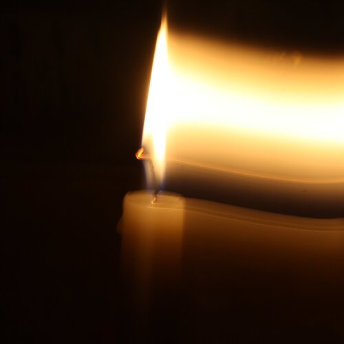 Photo #1700584