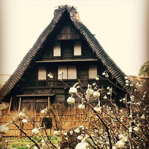 Beautiful Japan