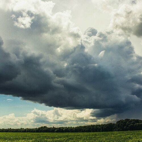 Photo #1702593