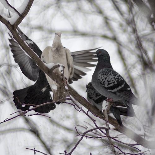 Photo #1704436