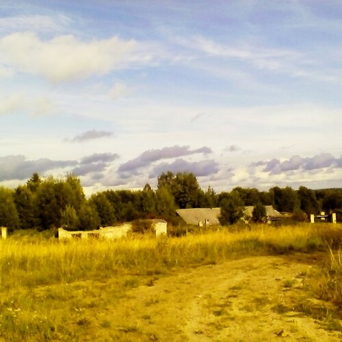 Поле.