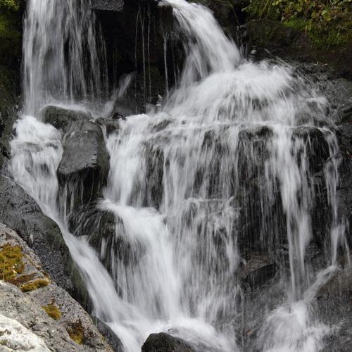 Водопадики Алтая
