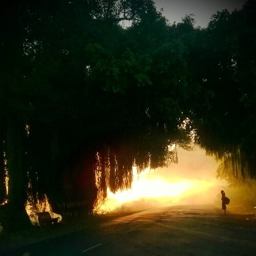 A beautiful morning!