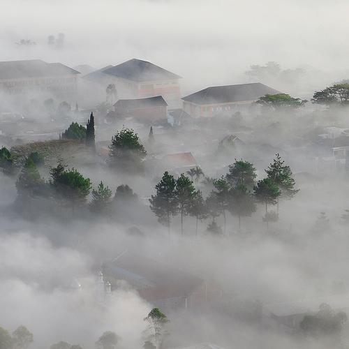 Langensari Mist