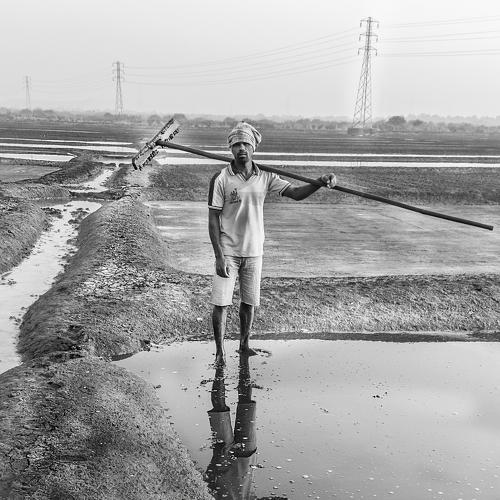 Salt worker