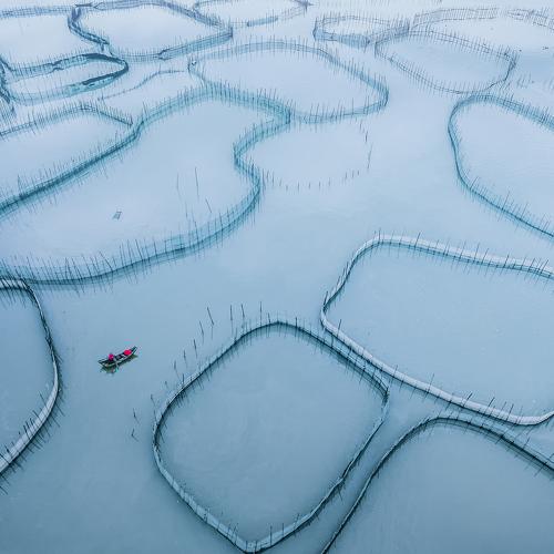 出海