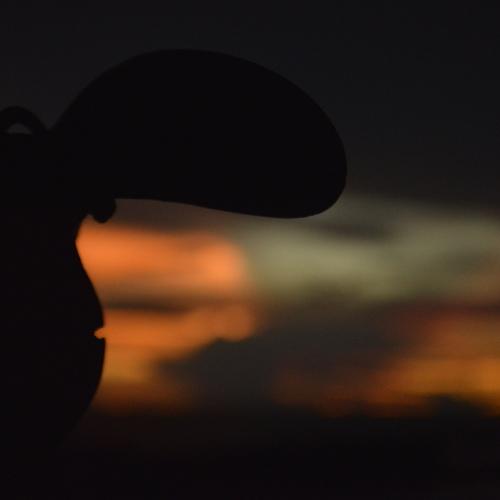 Sunset And The Siluet