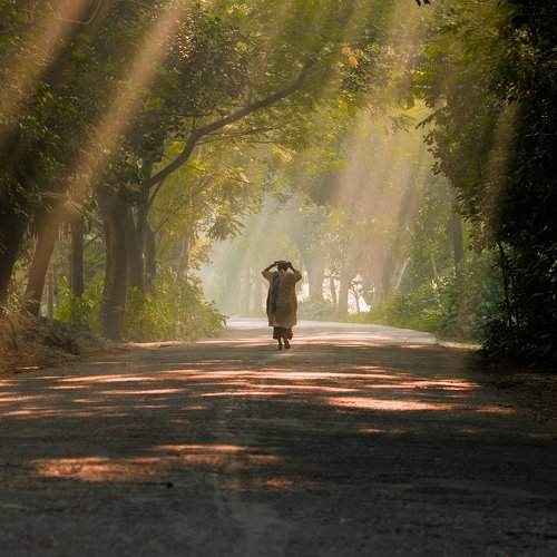 Rays to purification....