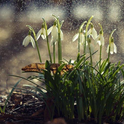 Photo #1717259