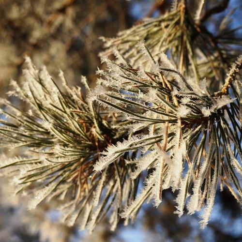 Photo #1717598