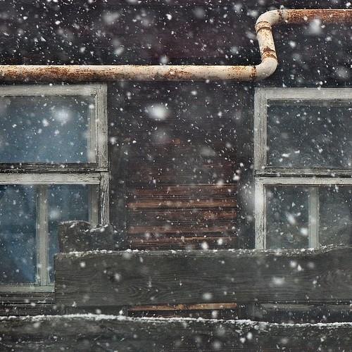 Photo #1718847