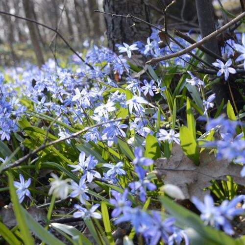 Photo #1720120