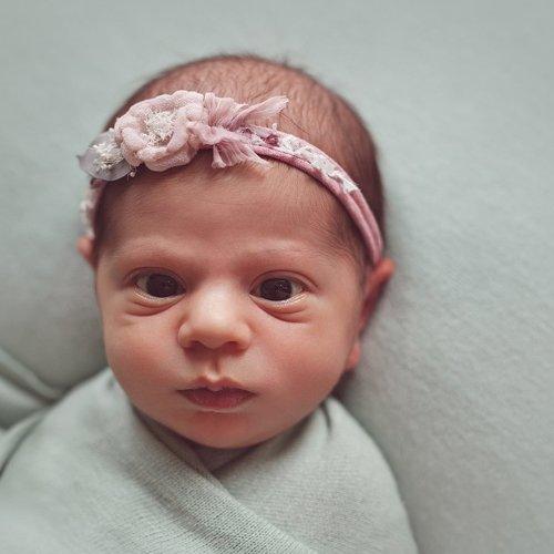 Photo #1725326