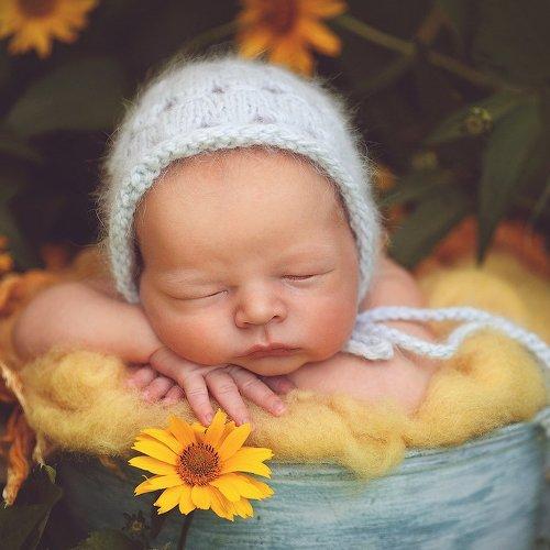 Photo #1725327