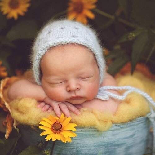 Photo #1725330
