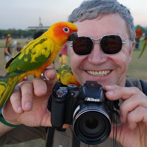Caressed by  parrots