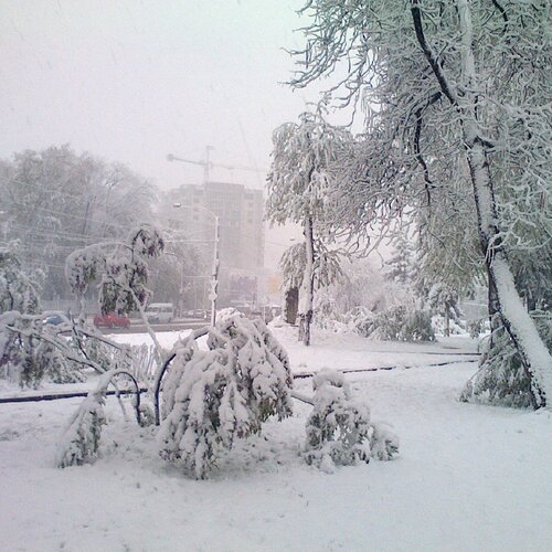 "апрельский   сюрприз"