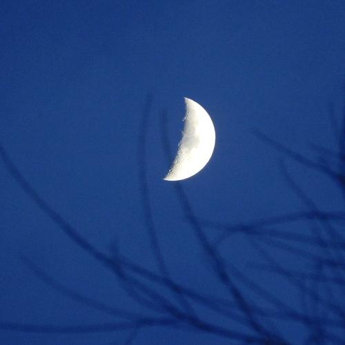 to the moon ♥