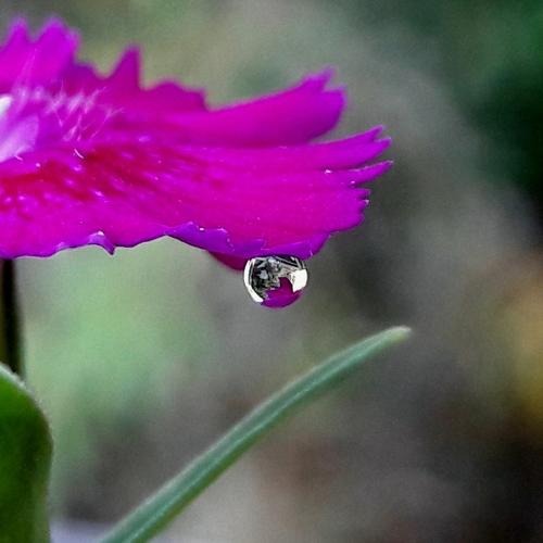 Cute Reflection