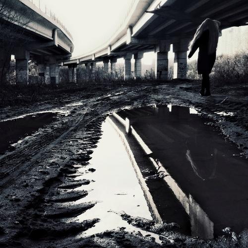 Photo #1730446