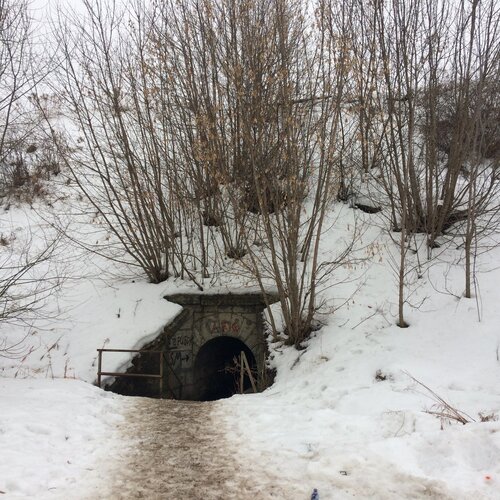 Дверь в неизвестность