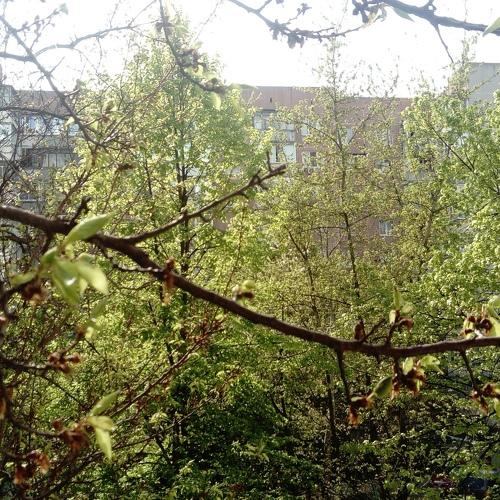 Ура апрель