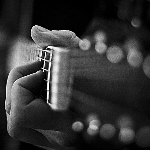 Photo #1731002
