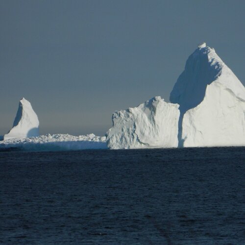 Iceberg