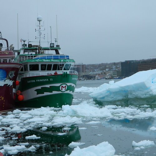 St. John's Harbor