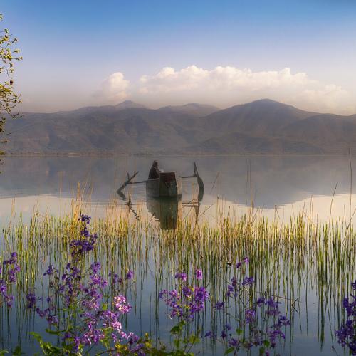 Spring In Lake