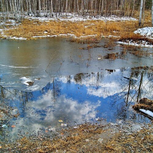 Photo #1731123