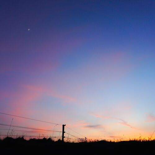 Evening
