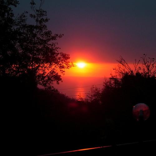 Photo #1731553