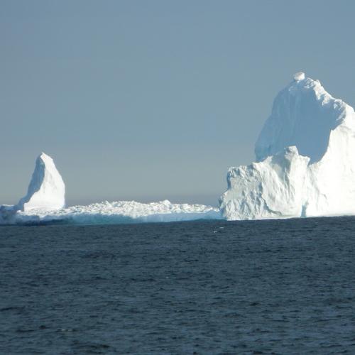 Iceberg