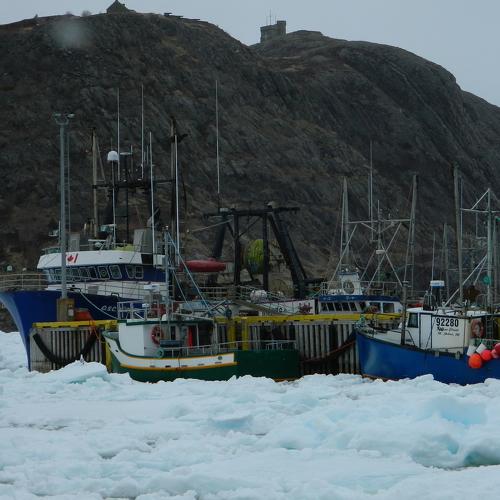 Ice Filled Harbor