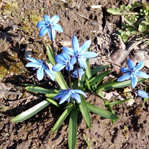Photo #1731780