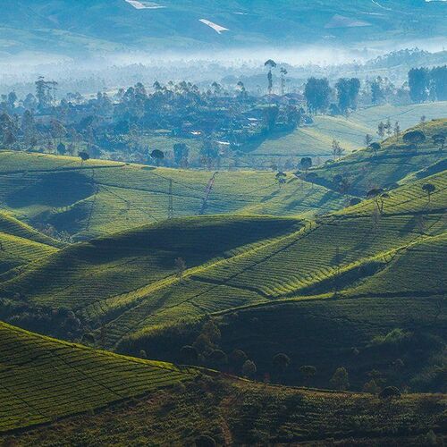 The beauty of my country