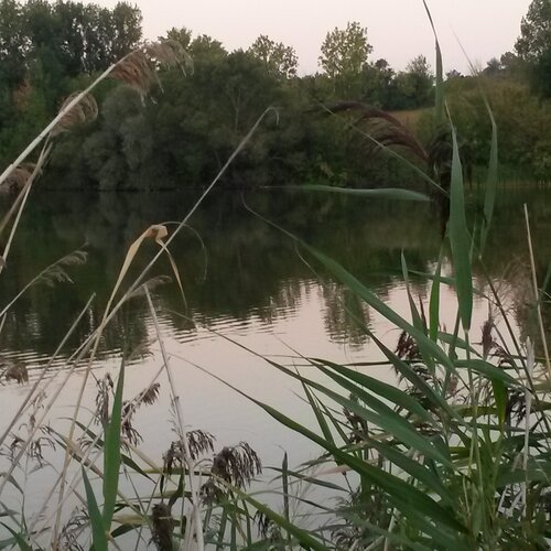 Photo #1733091