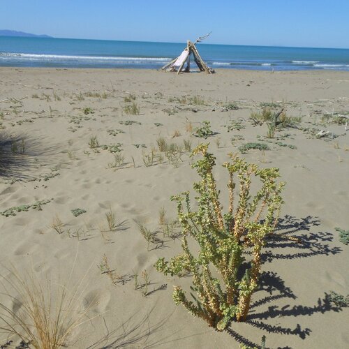 Photo #1738002