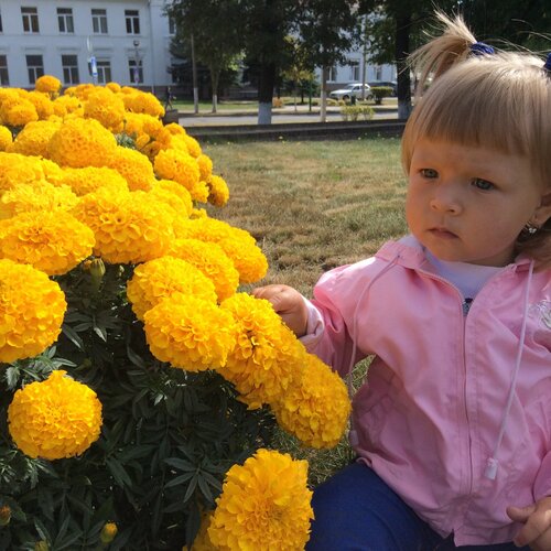 Мир, в котором я живу...