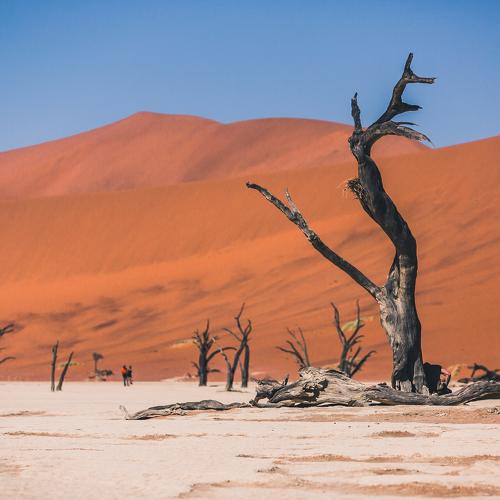 Deadvlei desert