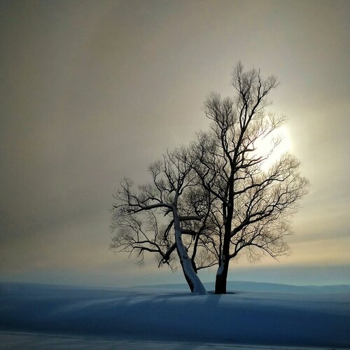 Photo #1742545