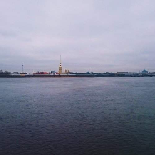 Родной серый