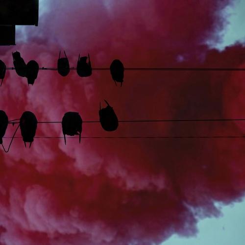 Photo #1745509