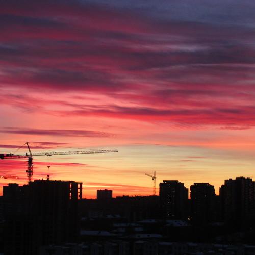Краны на закате