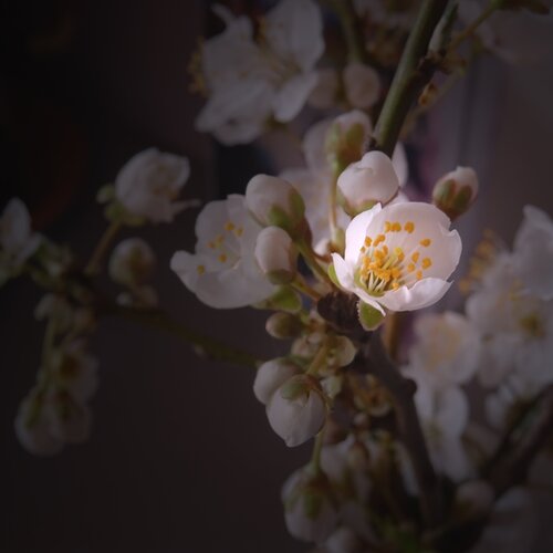 Photo #1745822