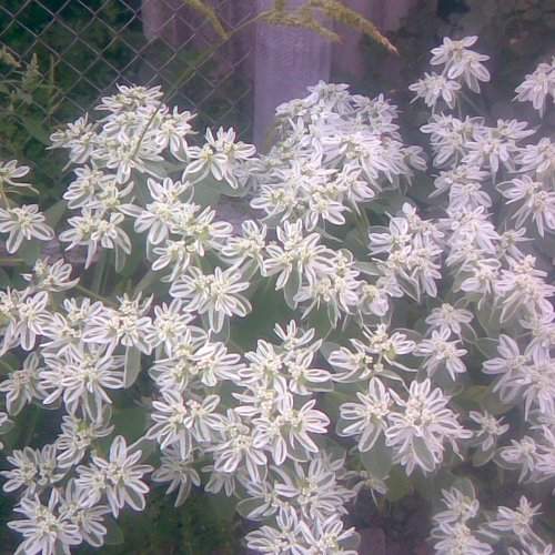 Photo #1745851