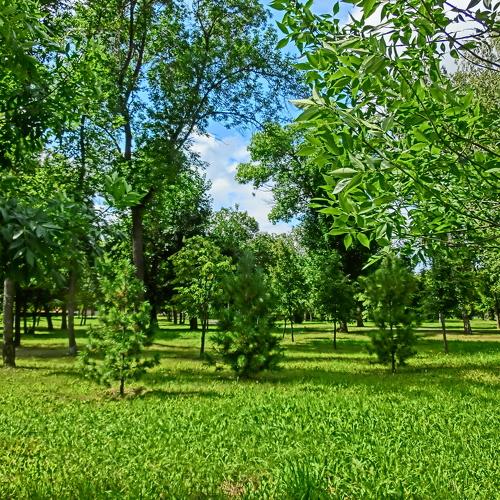 Летний парк HDR